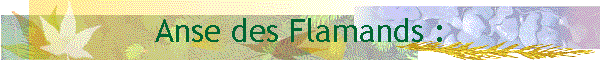 Anse des Flamands :