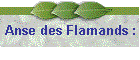 Anse des Flamands :