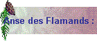 Anse des Flamands :