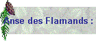 Anse des Flamands :