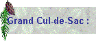 Grand Cul-de-Sac :