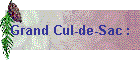 Grand Cul-de-Sac :