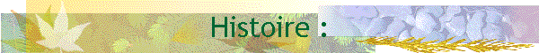 Histoire :
