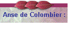 Anse de Colombier :