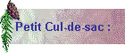Petit Cul-de-sac :