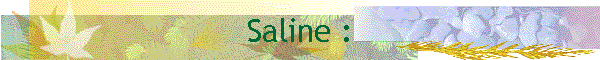 Saline :
