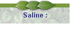Saline :