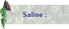 Saline :