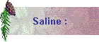 Saline :