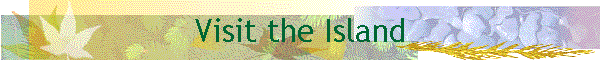 Visit the Island