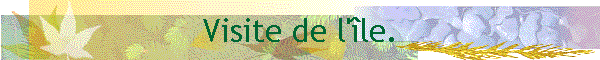 Visite de l'le.